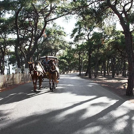 Gasthof Orhan Kutbayin Evi