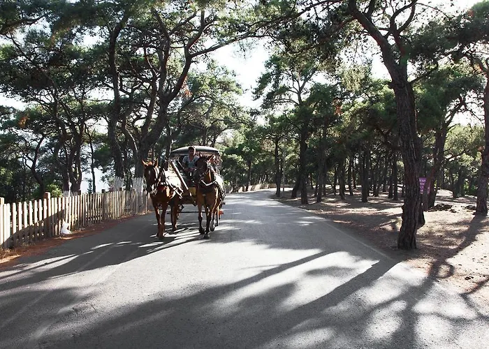 Gasthuis Orhan Kutbayin Evi