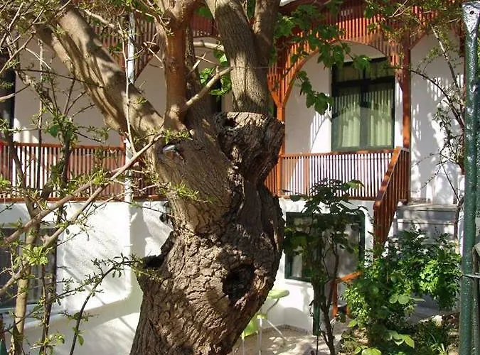 Gasthof Orhan Kutbayin Evi 3*